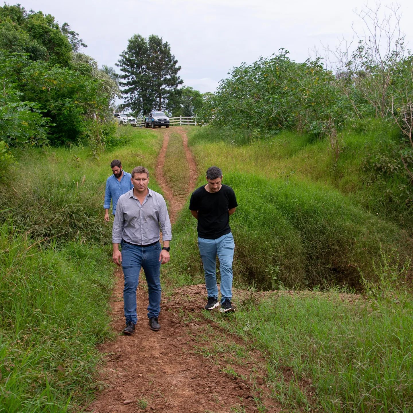 Siguen los trabajos de desmalezamiento y limpieza de la Costanera en San Javier 4 Siguen los trabajos de desmalezamiento y limpieza de la Costanera en San Javier imagen-3