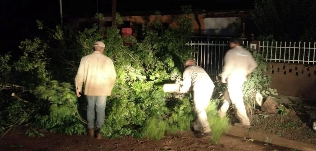 Ráfagas de viento producen caídas de árboles sobre linea de media tensión en San Javier imagen-1