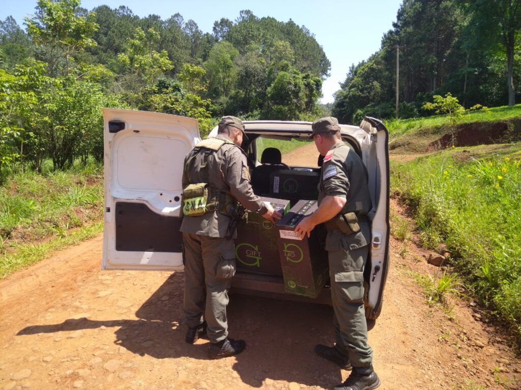 Gendarmería secuestró 19 mil paquetes de cigarrillos imagen-1