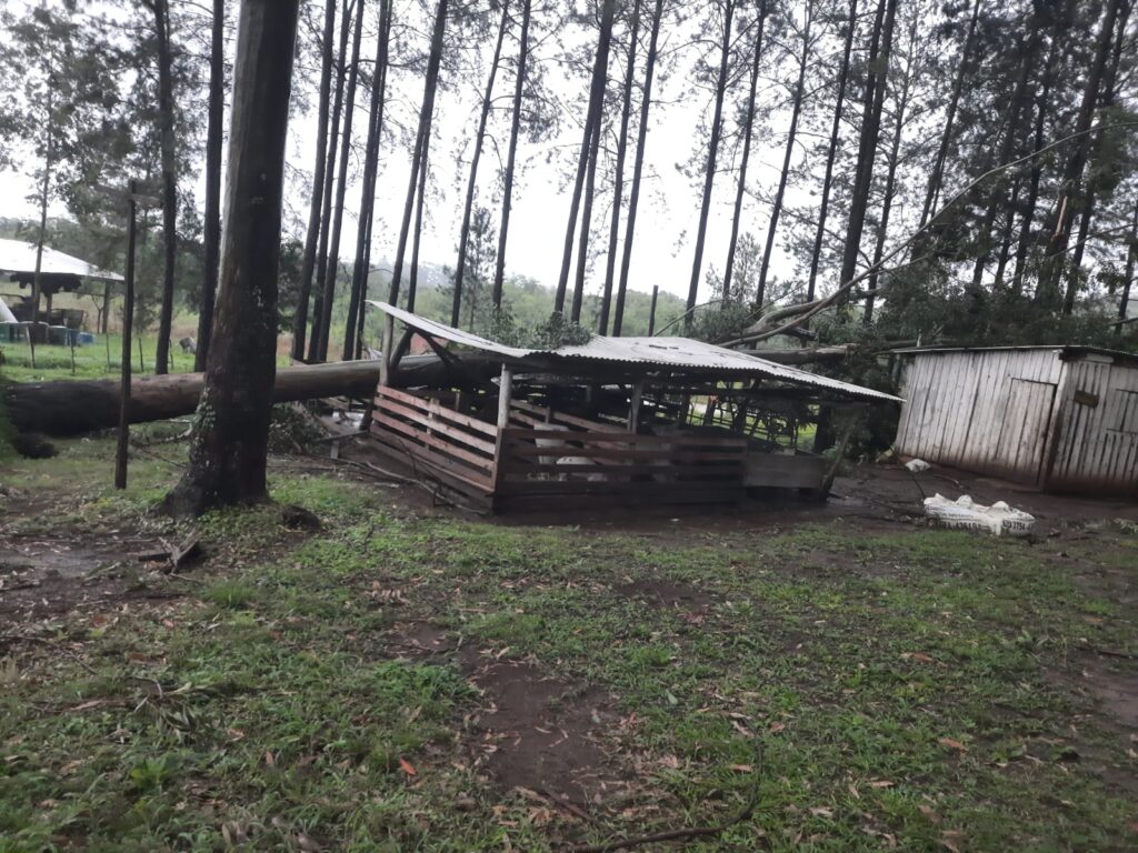 Tormenta ocasionó daños materiales en el IEA Nº12 en San Javier imagen-3
