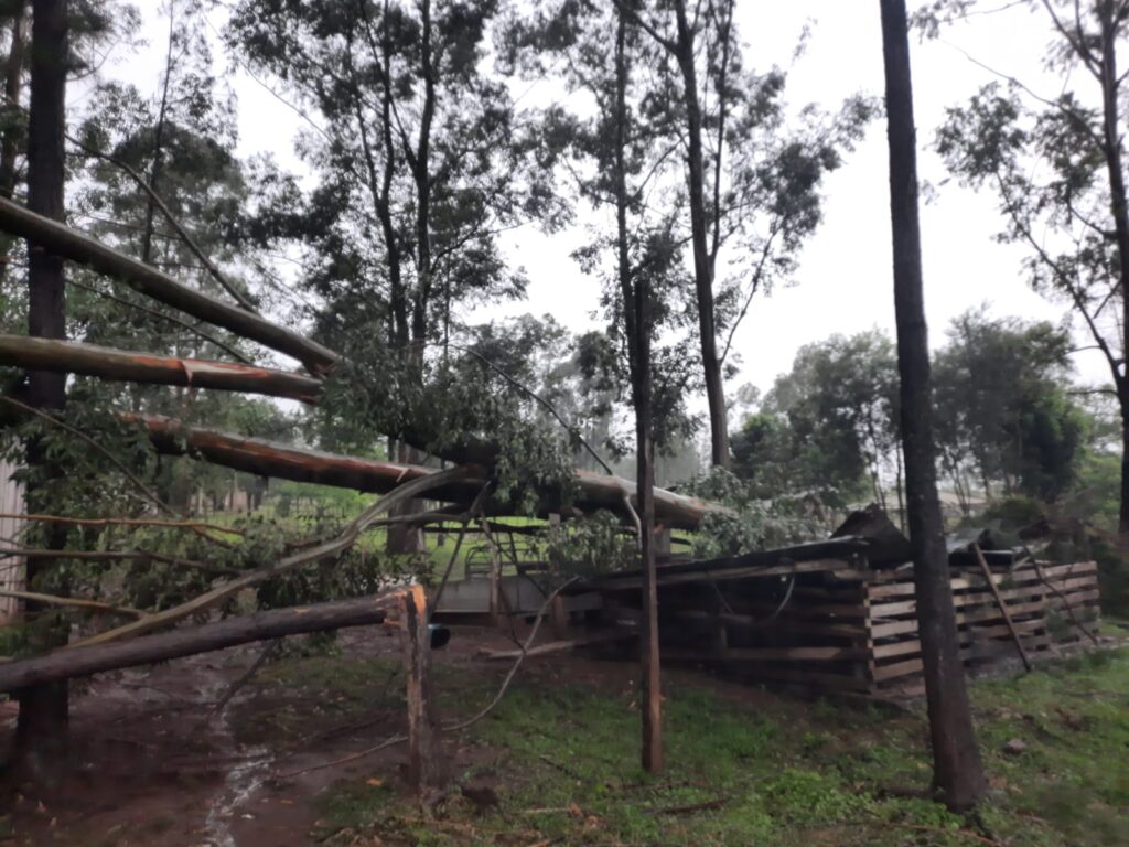 Tormenta ocasionó daños materiales en el IEA Nº12 en San Javier imagen-5