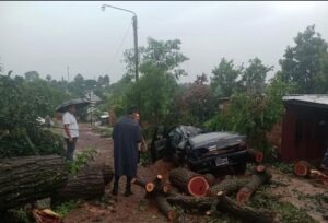 La Policía realiza el relevamiento y asistencia de afectados por el temporal que azotó Alem y sus alrededores imagen-1