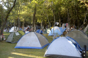 Se confirma el 31º festival de las carpas en Itacaruare, Misiones imagen-1