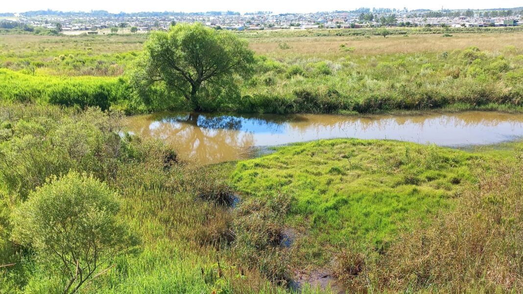 Ep. Humedales conservados dentro del predio de Itaembé Guazú.