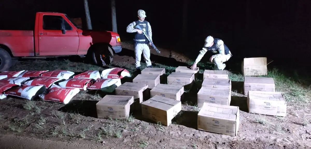 Prefectura secuestró un cargamento millonario de fertilizantes y herbicidas en San Javier imagen-1