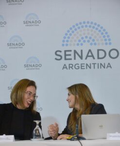 Encuentro en el Senado: abordaron el desafío de integrar la educación y trabajo, las claves para el futuro de Argentina imagen-7