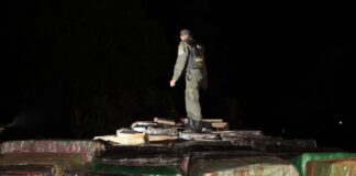 Gendarmería Nacional Secuestra Más de 7 Mil Kilos de Marihuana en un Camión de Bandera Brasileña en Apostoles. Tras Enfrentamiento Armado La Misión Digital imagen-6