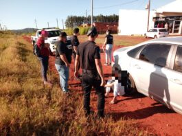 Policía secuestró estupefacientes en Alem y San Javier imagen-7