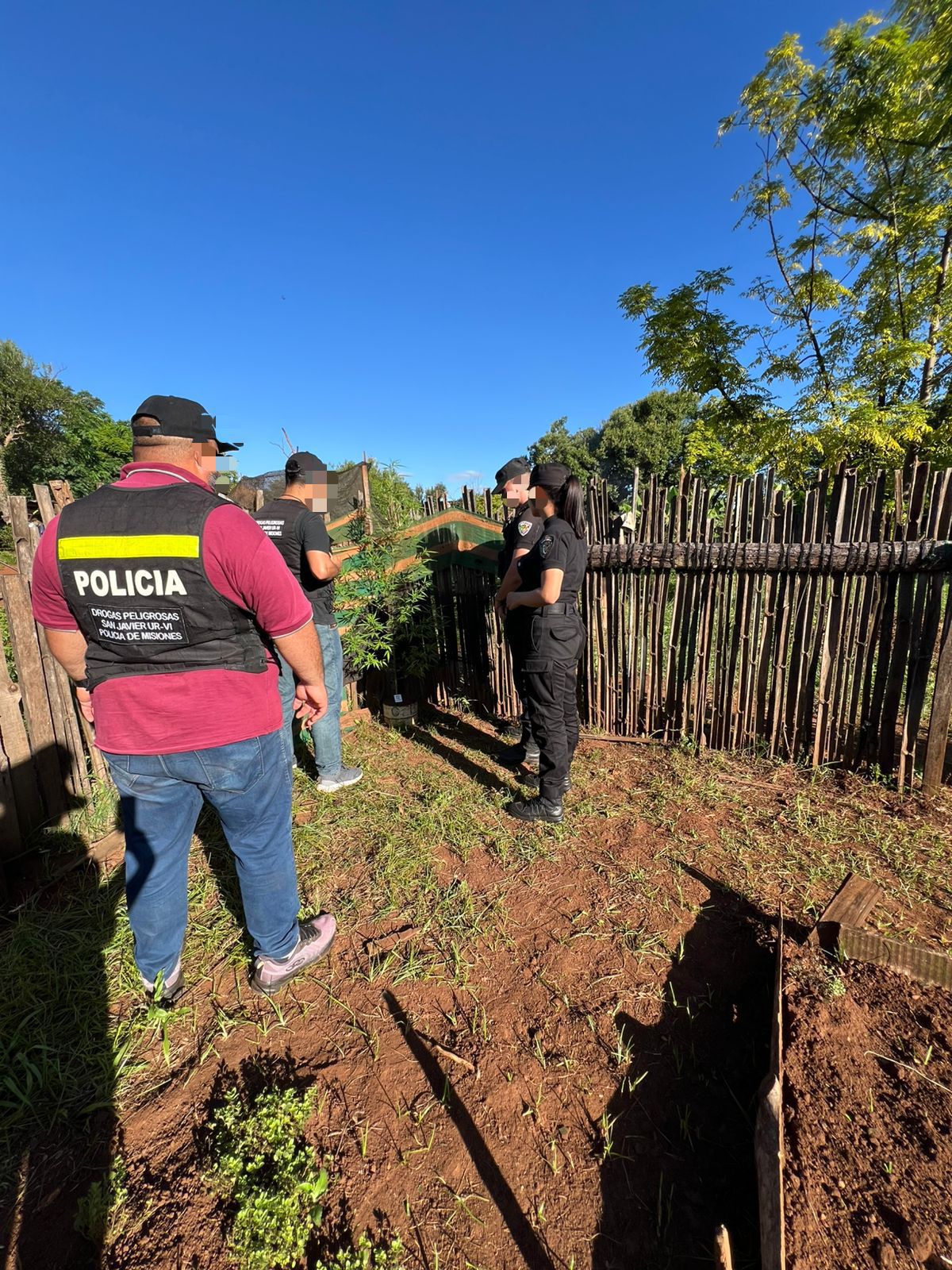 Allanaron una casa por el robo de una bicicleta y encontraron plantas de marihuana imagen-5