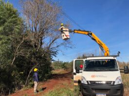 Energía de Misiones trabaja en el despeje de mas de160 km de líneas troncales imagen-1