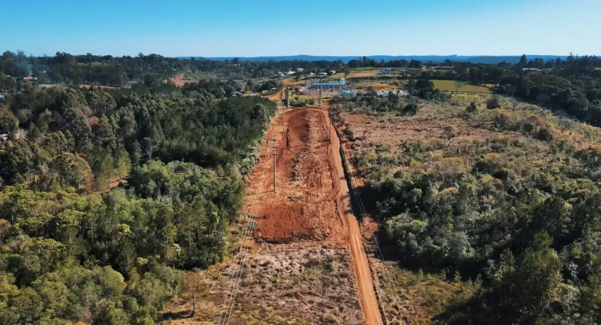 Energía de Misiones trabaja en el despeje de mas de160 km de líneas troncales imagen-4