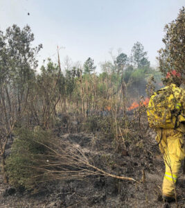 Bomberos Voluntarios de San Javier abren inscripciones para formar parte de sus filas imagen-3