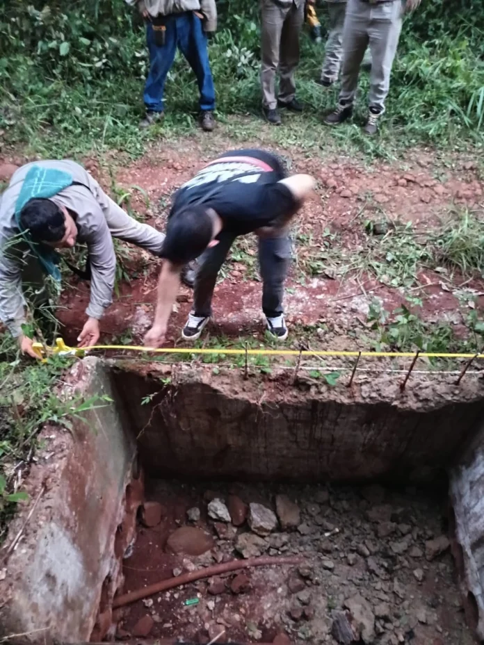 Vandalismo, riesgo y pérdidas: Tras 14 horas de trabajo se normalizó la línea que afectó a 25 mil vecinos de Iguazú imagen-6