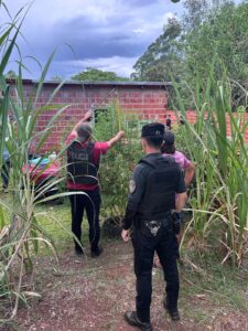 Búnker de droga desarticulado en San Javier 2 Búnker de droga desarticulado en San Javier imagen-1