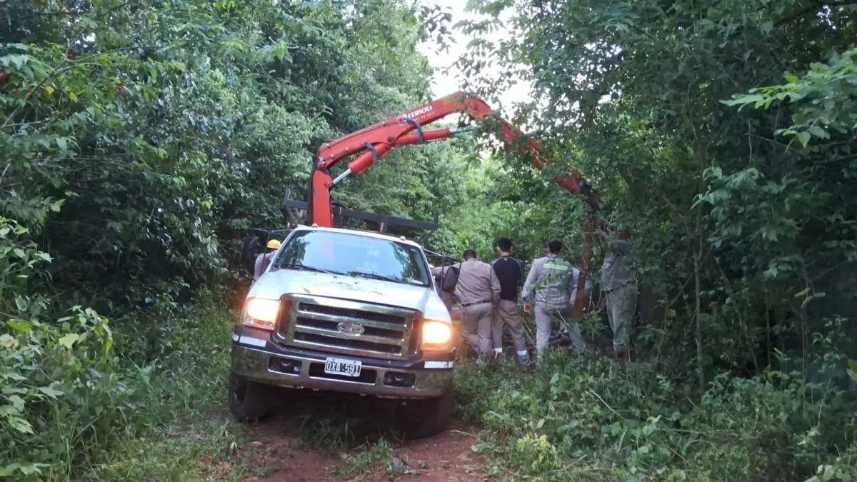 Denuncian sabotaje en la línea de 33 KV que dejó sin luz a Puerto Iguazú imagen-6