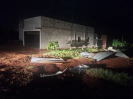 Fuerte tormenta causa severos daños en la ciudad de Alem imagen-1