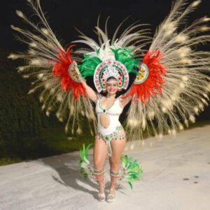 Todo listo para el Carnaval de la zona sur en Concepción de la Sierra imagen-7