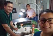 Destacan la importancia en la continuidad del Programa Municipal de Castraciones y su impacto en la comunidad La Misión Digital imagen-2