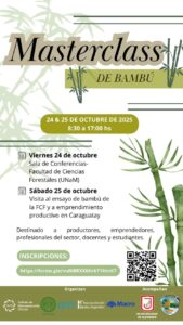Misiones será sede de la Masterclass de Bambú: innovación, sostenibilidad y desarrollo local imagen-1
