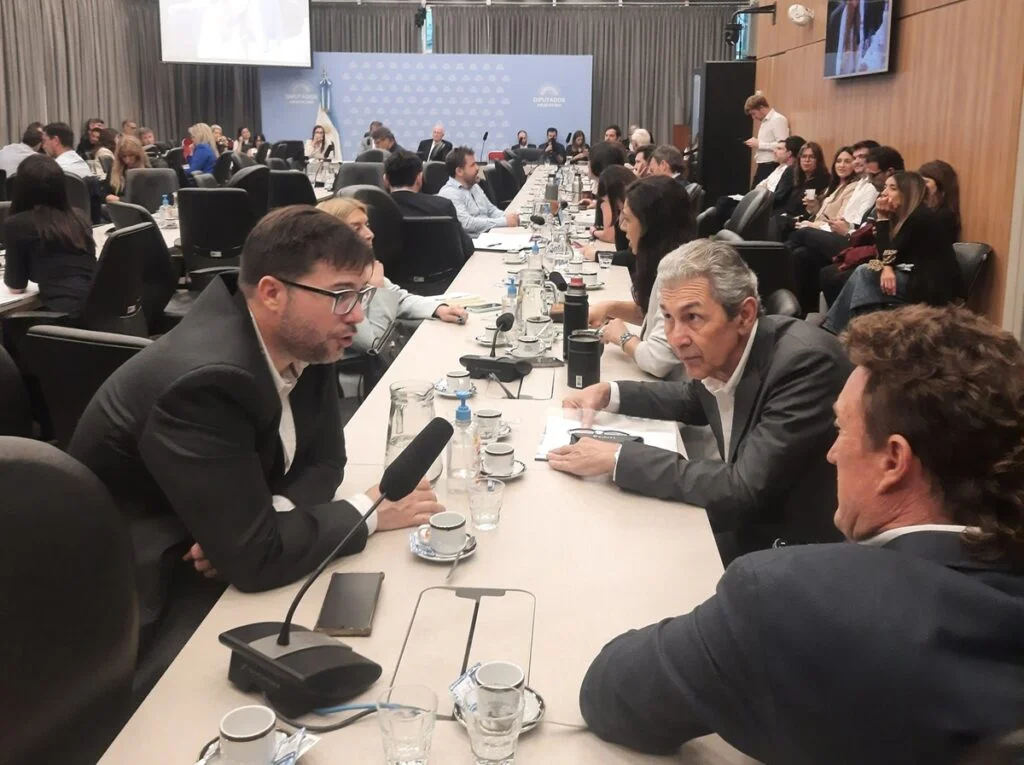 carlos-fernandez-presupuesto-1024x765