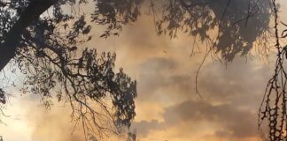 Daños materiales por incendio en Dos Arroyos La Misión Digital imagen-9