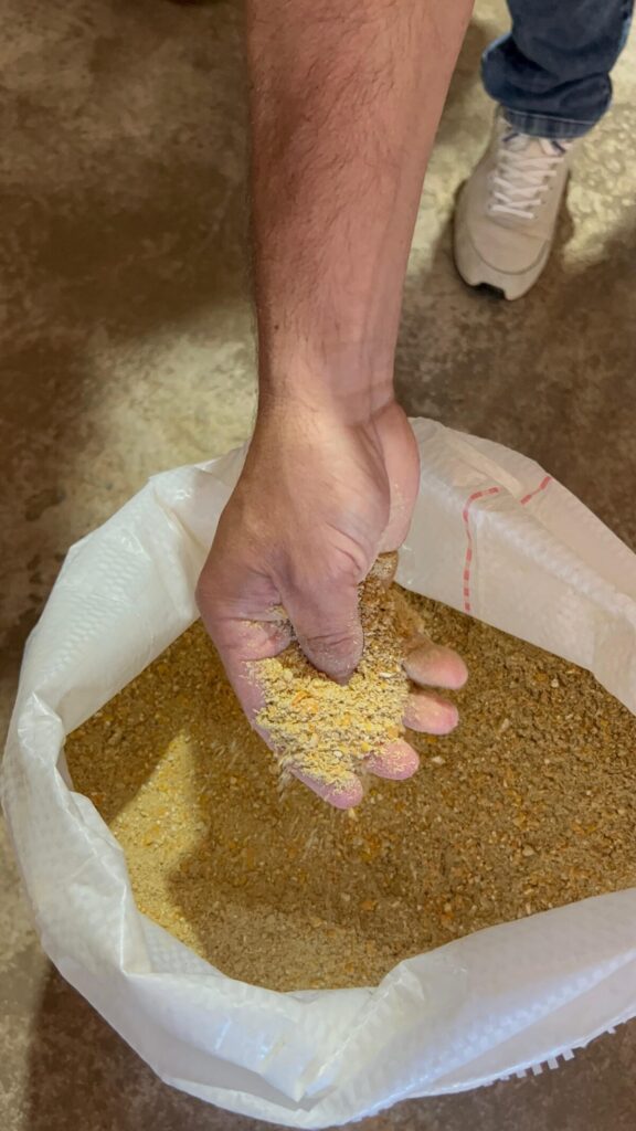 Lanzan en San Javier la Fábrica de Alimentos Balanceados: un impulso clave para el desarrollo productivo de Misiones 8 Lanzan en San Javier la Fábrica de Alimentos Balanceados: un impulso clave para el desarrollo productivo de Misiones imagen-7