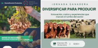 Capacitación en Producción de Maní y Jornada Ganadera en San Javier: Impulsan la Diversificación Productiva Local La Misión Digital imagen-26