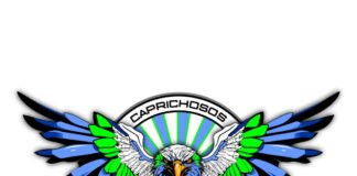 #ModoCarnaval Caprichosos do Samba y un homenaje a «El Mensú» La Misión Digital imagen-9