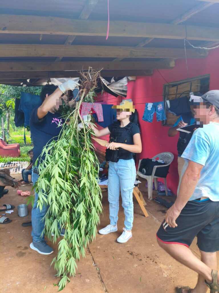 Droga, plantas de marihuana y balanza secuestradas en San Javier 2 Droga, plantas de marihuana y balanza secuestradas en San Javier imagen-1