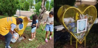El Club de Leones solicita no arrojar basura en los canastos corazones solidarios La Misión Digital imagen-35