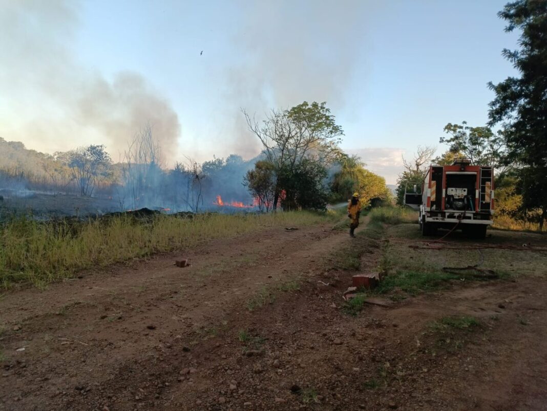 628000544_1606349223736817_2975985401237997658_n