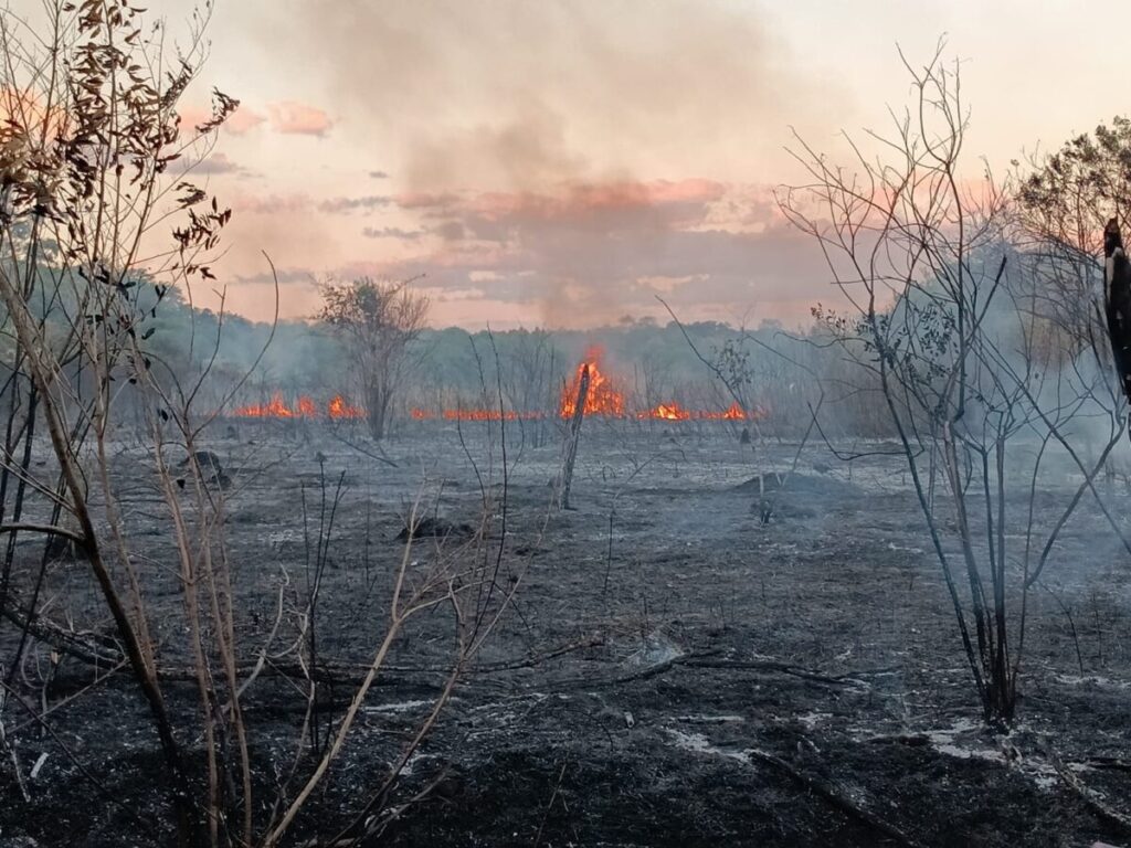 Bomberos Voluntarios de San Javier extinguieron incendio forestal en cercanías del regimiento local imagen-5