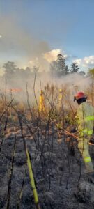 Bomberos Voluntarios de San Javier extinguieron incendio forestal en cercanías del regimiento local imagen-1