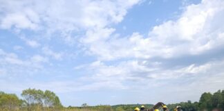 Identifican a las personas involucradas en accidente de tránsito La Misión Digital imagen-4