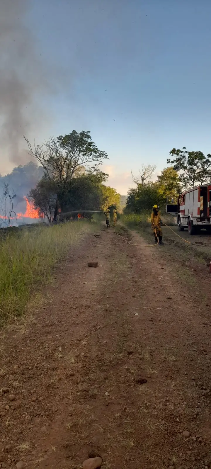 Bomberos Voluntarios de San Javier extinguieron incendio forestal en cercanías del regimiento local 4 Bomberos Voluntarios de San Javier extinguieron incendio forestal en cercanías del regimiento local imagen-3