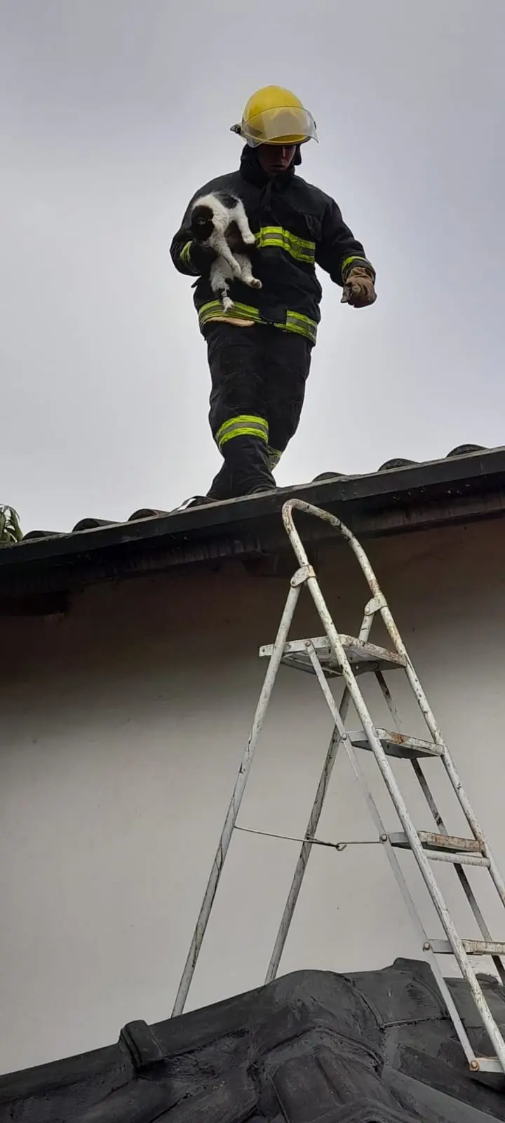 El cuartel de Bomberos Voluntarios San Javier celebra un nuevo aniversario desde su fundación 10 El cuartel de Bomberos Voluntarios San Javier celebra un nuevo aniversario desde su fundación imagen-9