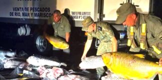 Procedimiento contra la pezca ilegal La Misión Digital imagen-5