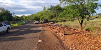 Despiste de camión en Dos Arroyos La Misión Digital imagen-4