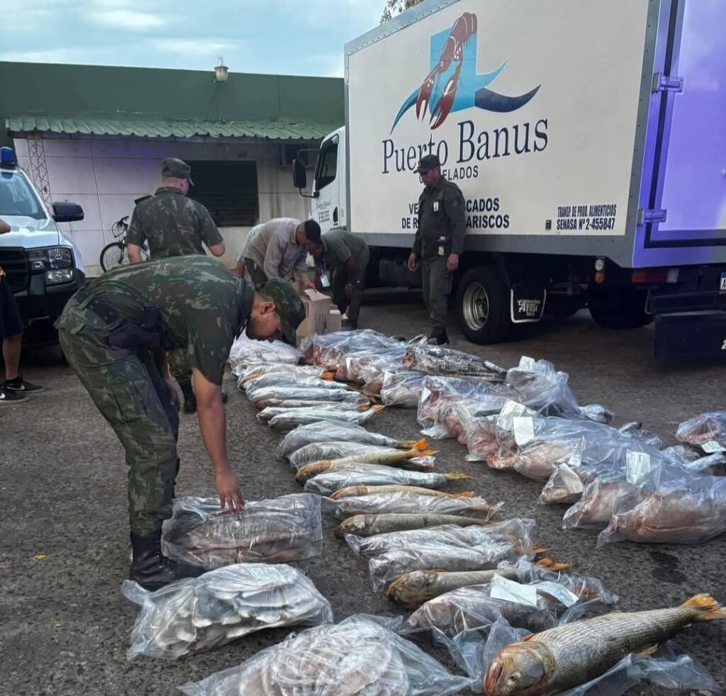Procedimiento contra la pezca ilegal 2 Procedimiento contra la pezca ilegal imagen-1