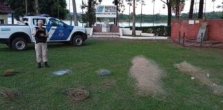 Prefectura de San Javier intensifica controles contra la pesca furtiva en el río Uruguay La Misión Digital imagen-11