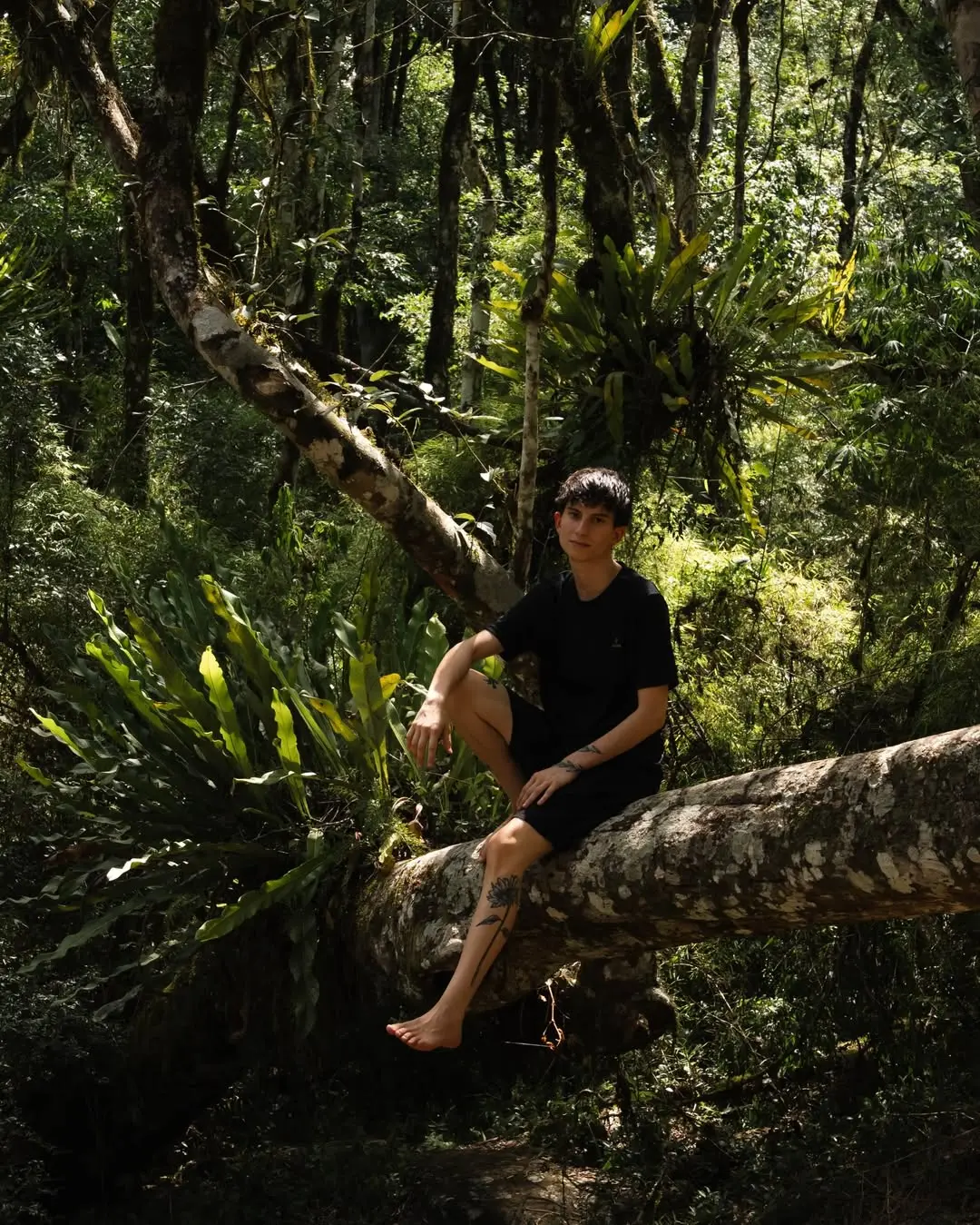 Eugenia Krako presenta "Guardo en el Norte": Un susurro de monte y sintetizadores en el corazón de Misiones imagen-7