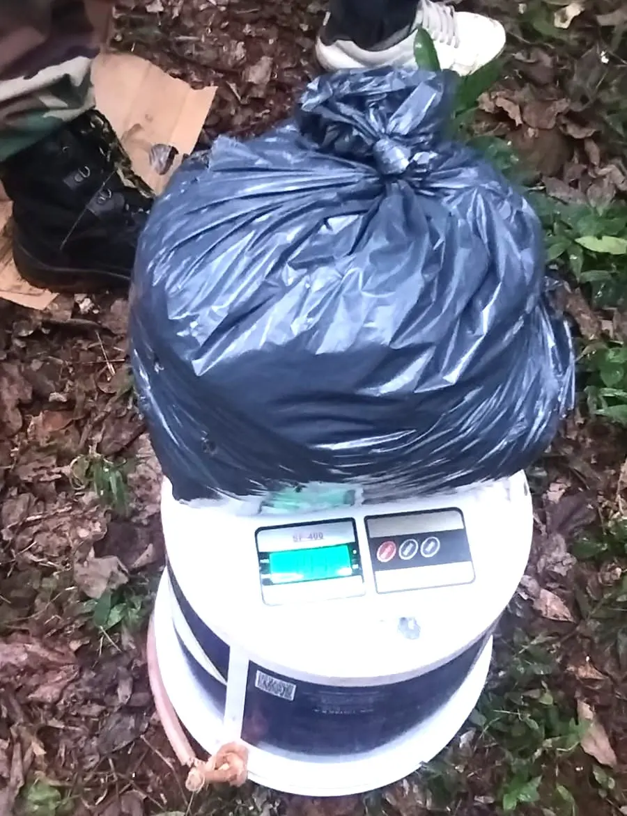 En la localidad de Panambi por Ruta 2, Prefectura  interceptó a un hombre con drogas. imagen-5