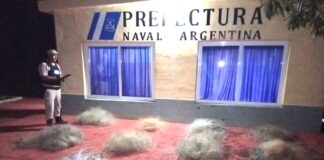 Combaten la pesca furtiva en el río Uruguay a la altura de Concepción de la Sierra La Misión Digital imagen-11