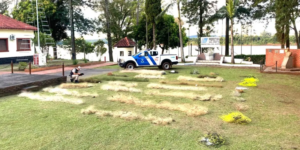 Prefectura San Javier asestó un golpe a la pesca furtiva en el río Uruguay imagen-1
