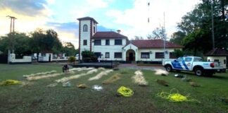 Prefectura San Javier asestó un golpe a la pesca furtiva en el río Uruguay La Misión Digital imagen-6