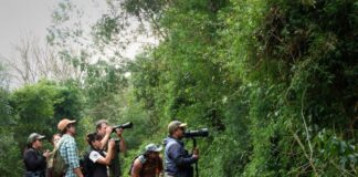 Misiones se suma al Gran Día de Observación de Aves 2026 La Misión Digital imagen-22