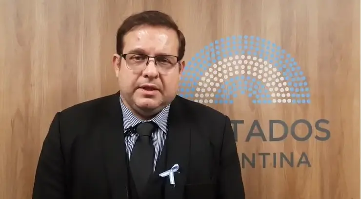 Cristian Castro expuso en el Congreso la crisis yerbatera y defendió el rol del INYM imagen-6