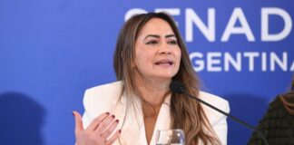 Rojas Decut presentó en el Senado el modelo de Misiones para los mercados de carbono La Misión Digital imagen-7