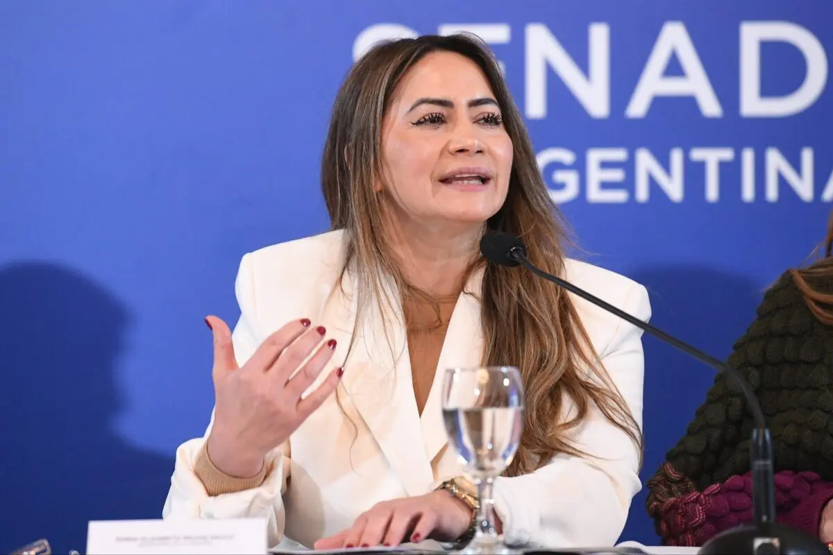 rojas d Rojas Decut presentó en el Senado el modelo de Misiones para los mercados de carbono imagen-6
