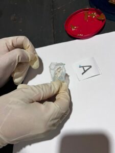 Intentó ingresar cocaína oculta en un pote de dulce de leche para sus hermanos detenidos y fue descubierta en San Javier 4 Intentó ingresar cocaína oculta en un pote de dulce de leche para sus hermanos detenidos y fue descubierta en San Javier imagen-3